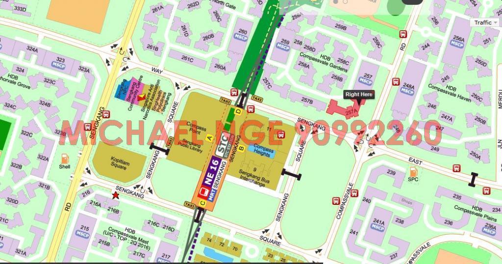 Blk 257A Compassvale Road (Sengkang), HDB 4 Rooms #86485842